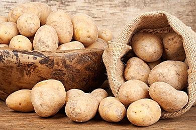 Xbox总裁：下一代主机将带来非常高端的体验